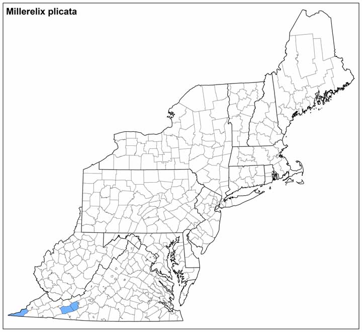 Daedalochila plicata Range Map